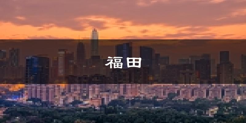 深圳福田天气预报未来一周