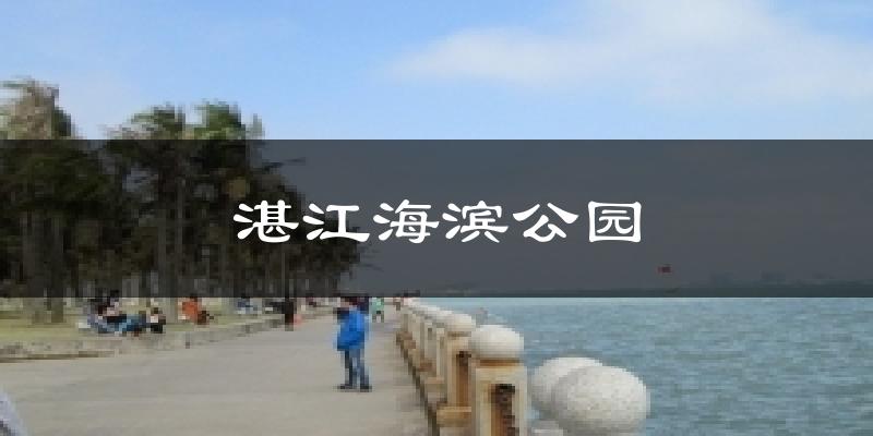 湛江海滨公园今日天气