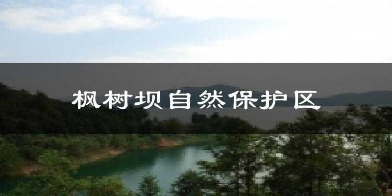枫树坝自然保护区气温