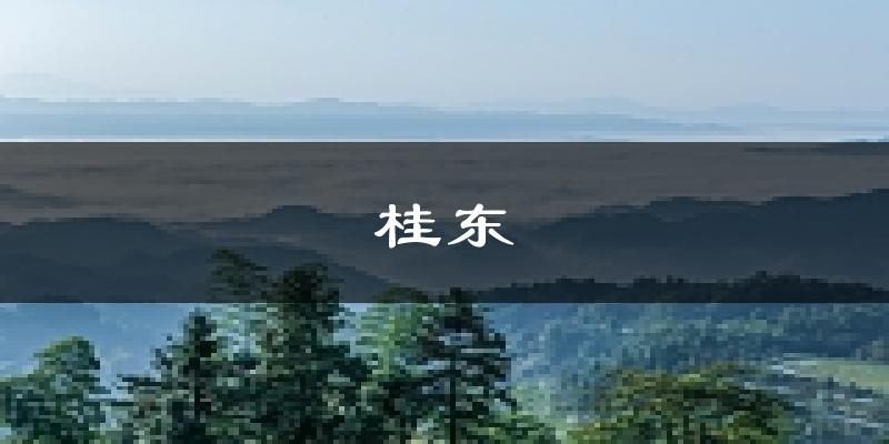 桂东天气预报未来一周