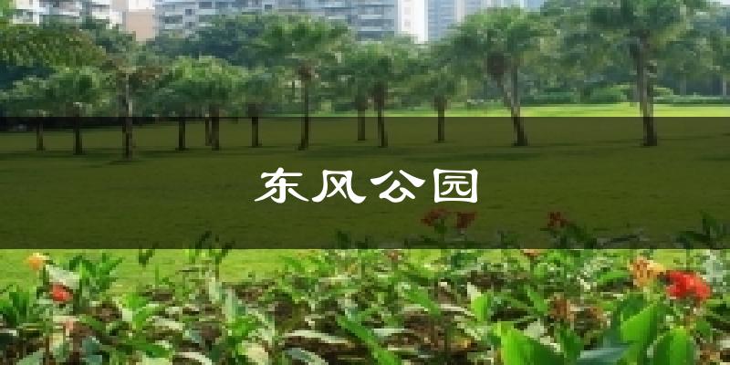 东风公园气温