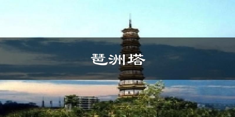 琶洲塔天气预报十五天