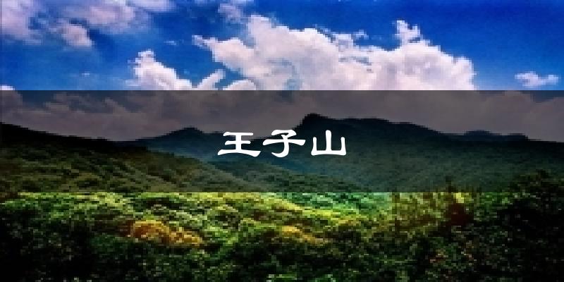 王子山气温