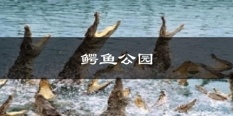 鳄鱼公园天气预报十五天