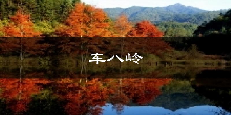 韶关车八岭天气预报未来一周