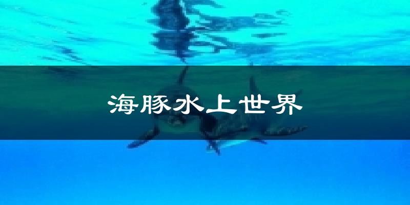 海豚水上世界天气预报十五天