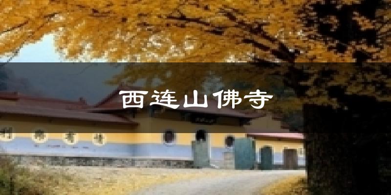 新丰西连山佛寺天气预报未来一周