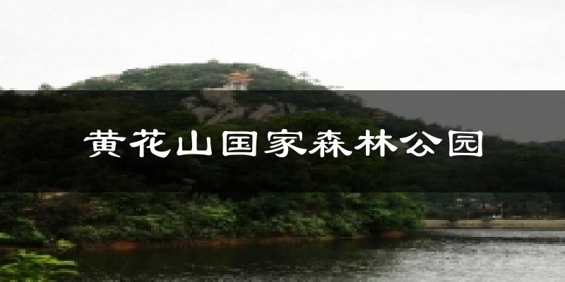 黄花山国家森林公园气温