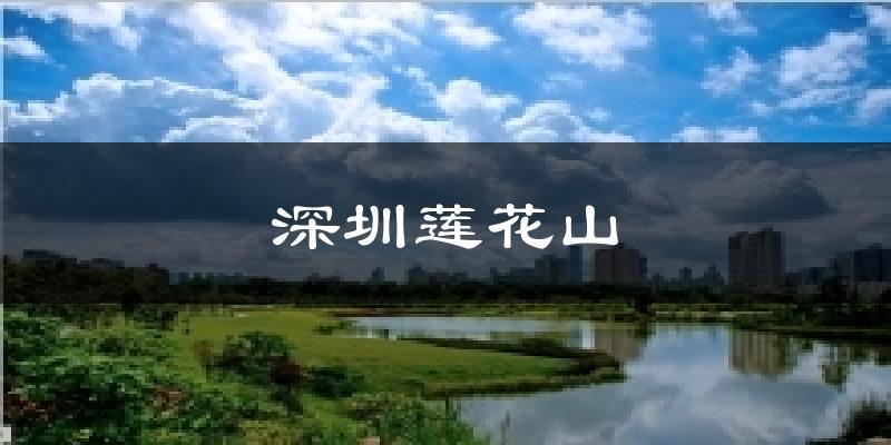 深圳深圳莲花山天气预报未来一周