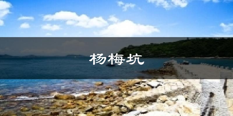 杨梅坑天气预报十五天