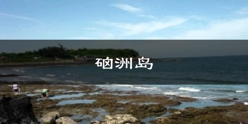 硇洲岛天气预报十五天