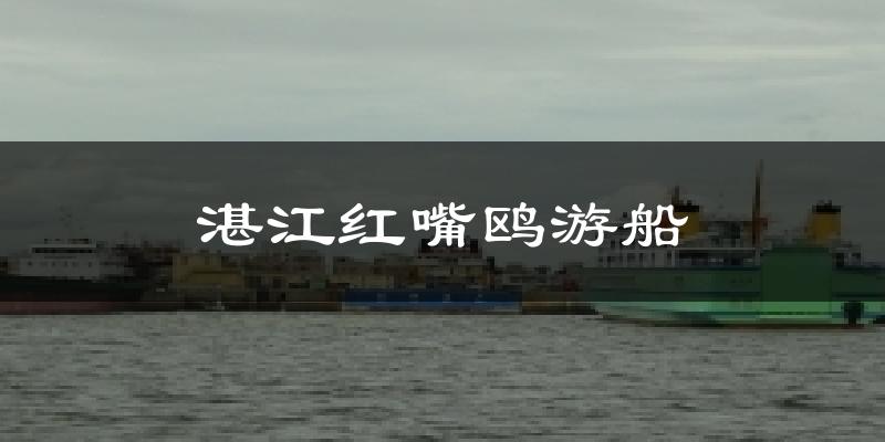 湛江赤坎湛江红嘴鸥游船天气预报未来一周