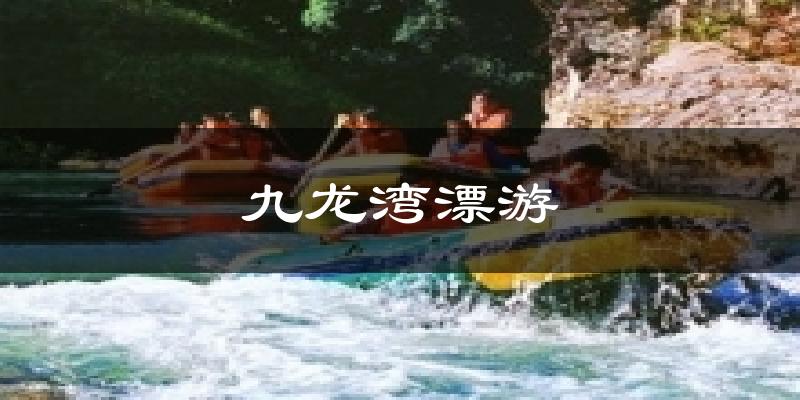 九龙湾漂游今日天气