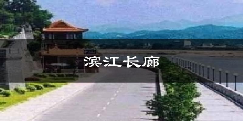 滨江长廊天气预报十五天