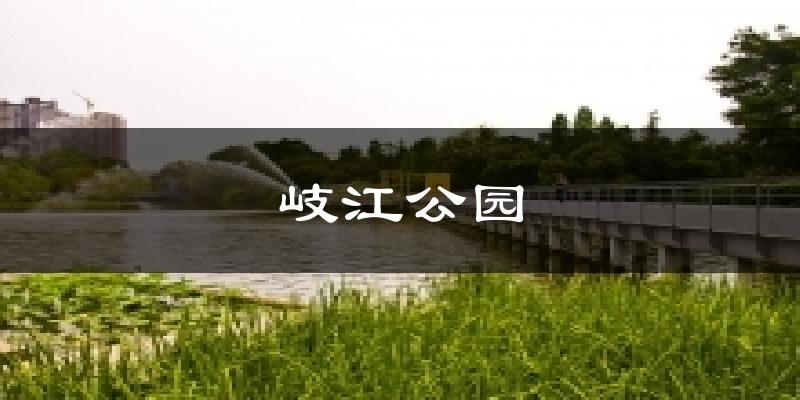 岐江公园天气预报十五天