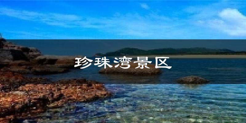 珍珠湾景区今日天气