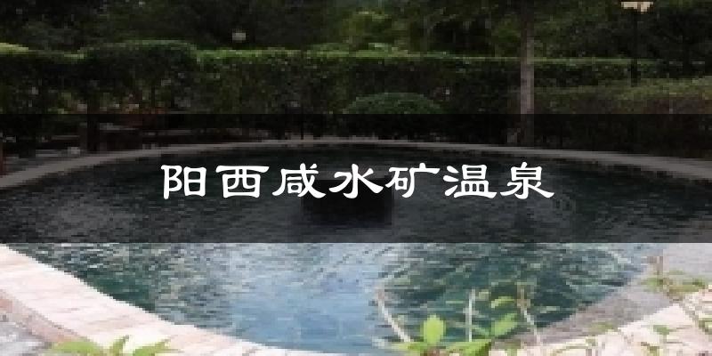 阳西咸水矿温泉天气预报十五天