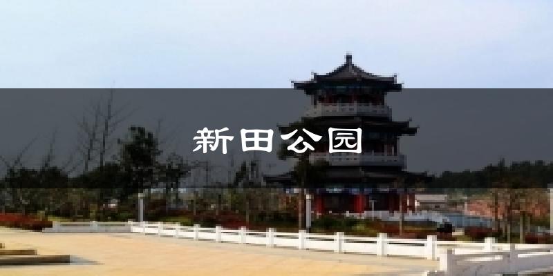 新田公园气温